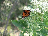 20100206 562.JPG